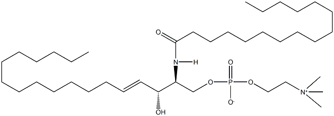 N-PALMITOYL-D-SPHINGOMYELIN