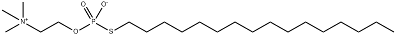 943022-11-5 structural image