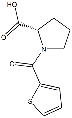 (2S)-1-(thien-2-ylcarbonyl)pyrrolidine-2-carboxylic acid