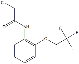 2-CHLORO-N-[2-(2,2,2-TRIFLUOROETHOXY)PHENYL]ACETAMIDE