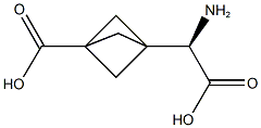 3-[(R)-AMINO(CARBOXY)METHYL]BICYCLO[1.1.1]PENTANE-1-CARBOXYLIC ACID