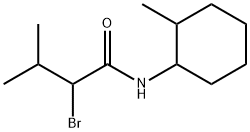 2-bromo-3-methyl-N-(2-methylcyclohexyl)butanamide