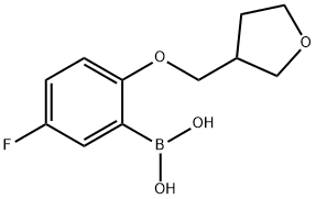 Boronic acid, B-[5-fluoro-2-[(tetrahydro-3-furanyl)methoxy]phenyl]- Structural