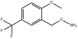 O-{[2-methoxy-5-(trifluoromethyl)phenyl]methyl}hydroxylamine