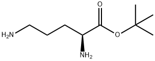 Ornithine, 1,1-dimethylethyl ester Structural