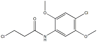 3-chloro-N-(4-chloro-2,5-dimethoxyphenyl)propanamide Structural