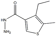 4-ETHYL-5-METHYLTHIOPHENE-3-CARBOHYDRAZIDE