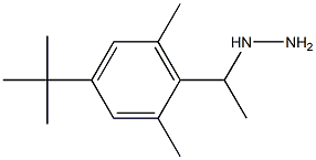 1-(1-(4-tert-butyl-2,6-dimethylphenyl)ethyl)hydrazine Structural