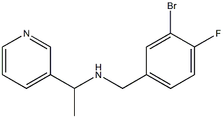 [(3-bromo-4-fluorophenyl)methyl][1-(pyridin-3-yl)ethyl]amine