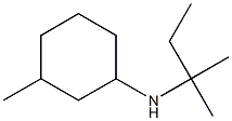 3-methyl-N-(2-methylbutan-2-yl)cyclohexan-1-amine