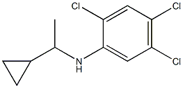 2,4,5-trichloro-N-(1-cyclopropylethyl)aniline