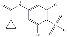 2,6-dichloro-4-[(cyclopropylcarbonyl)amino]benzenesulfonyl chloride Structural