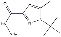 1-tert-Butyl-5-methyl-1H-pyrazole-3-carbohydrazide 97%