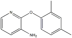 2-(2,4-dimethylphenoxy)pyridin-3-amine Structural