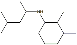 2,3-dimethyl-N-(4-methylpentan-2-yl)cyclohexan-1-amine