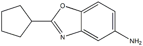 2-cyclopentyl-1,3-benzoxazol-5-amine Structural