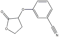 3-[(2-oxooxolan-3-yl)oxy]benzonitrile