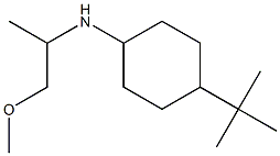 4-tert-butyl-N-(1-methoxypropan-2-yl)cyclohexan-1-amine