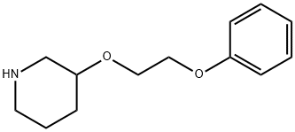 Piperidine, 3-(2-phenoxyethoxy)- Structural
