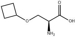 (2S)-3-cyclobutoxy-2-({[(9H-fluoren-9-yl)methoxy]carbonyl}amino)propanoic acid