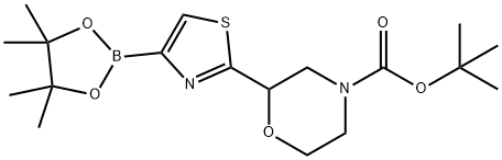tert-butyl 2-(4-(4,4,5,5-tetramethyl-1,3,2-dioxaborolan-2-yl)thiazol-2-yl)morpholine-4-carboxylate Structural