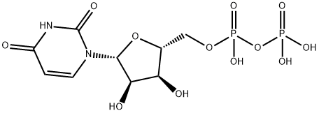 Uridine 5'-(trihydrogen diphosphate) Structural