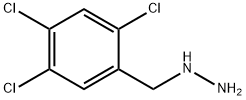 Hydrazine, [(2,4,5-trichlorophenyl)methyl]- Structural