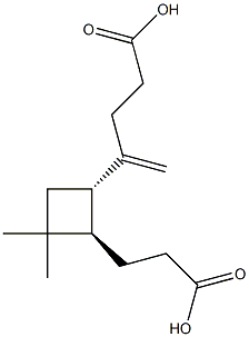 957055-11-7 structural image