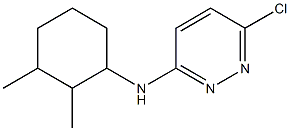 6-chloro-N-(2,3-dimethylcyclohexyl)pyridazin-3-amine