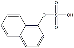 1-Naphthyl sulfate