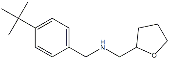 [(4-tert-butylphenyl)methyl](oxolan-2-ylmethyl)amine Structural