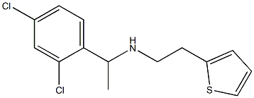 [1-(2,4-dichlorophenyl)ethyl][2-(thiophen-2-yl)ethyl]amine Structural