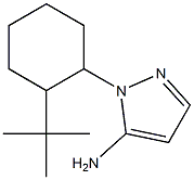 1-(2-tert-butylcyclohexyl)-1H-pyrazol-5-amine