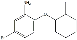 5-bromo-2-[(2-methylcyclohexyl)oxy]aniline