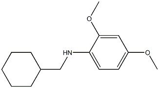 N-(cyclohexylmethyl)-2,4-dimethoxyaniline