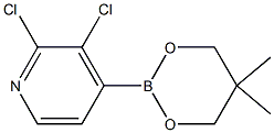 2,3-Dichloro-4-(5,5-dimethyl-1,3,2-dioxaborinan-2-yl)pyridine