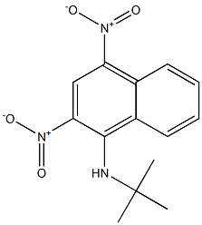 1-(tert-Butyl)amino-2,4-dinitronaphthalene Structural