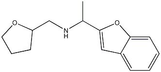 [1-(1-benzofuran-2-yl)ethyl](oxolan-2-ylmethyl)amine