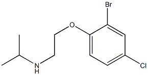 [2-(2-bromo-4-chlorophenoxy)ethyl](propan-2-yl)amine