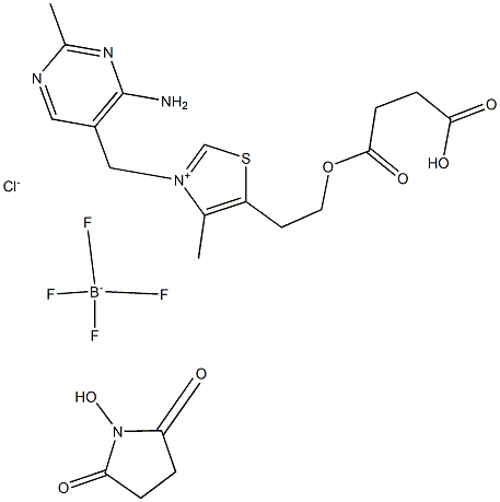 Vitamin B1 O-Succinic Acid-N-Hydroxy Succinimide Tetrafluoroborate Structural