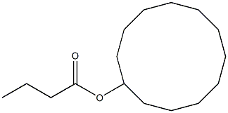 CYCLODODECYL BUTYRATE Structural