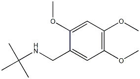 N-(tert-butyl)-N-(2,4,5-trimethoxybenzyl)amine