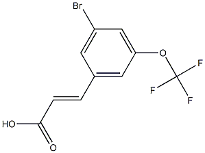 (E)-3-(3-bromo-5-(trifluoromethoxy)phenyl)acrylic acid Structural