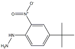 1-(4-tert-butyl-2-nitrophenyl)hydrazine Structural