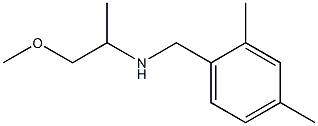 [(2,4-dimethylphenyl)methyl](1-methoxypropan-2-yl)amine