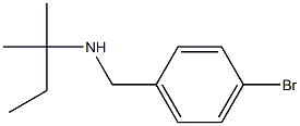 [(4-bromophenyl)methyl](2-methylbutan-2-yl)amine