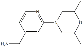 [2-(2,6-dimethylmorpholin-4-yl)pyridin-4-yl]methylamine