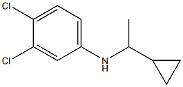 3,4-dichloro-N-(1-cyclopropylethyl)aniline