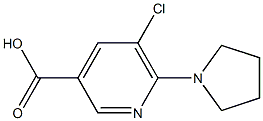 5-chloro-6-(pyrrolidin-1-yl)pyridine-3-carboxylic acid