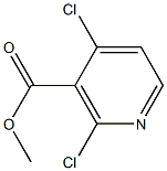 methyl 2,4-dichloronicotinate